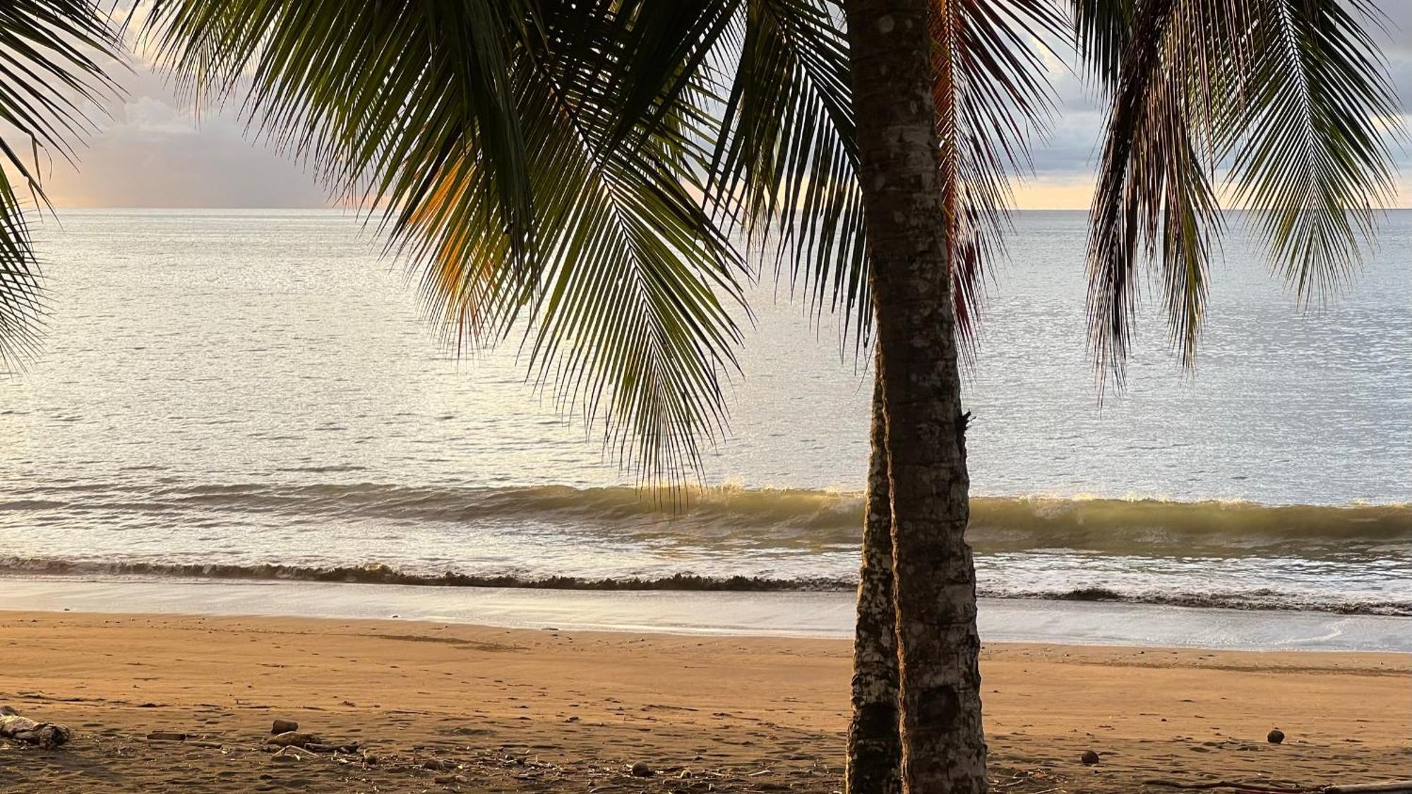 Irana Pacific Hotel Nuquí Eksteriør billede